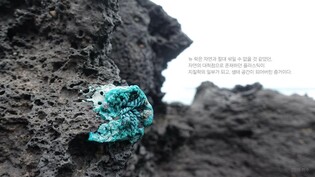 자연의 일부처럼…기후위기 속 새로운 돌멩이가 된 플라스틱