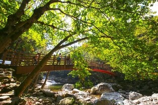 "어사 박문수가 다닌 무주 구천동길 걸어보세요"