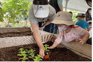 [게시판] 서울시, '힐링농업체험' 참여 유치원·초중학생 모집
