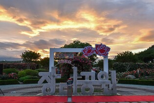 4년 만에 다시 피어난 1천만 송이 장미…삼척서 20∼25일 축제