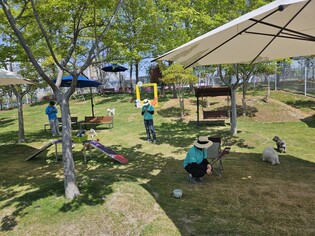 "반려견도 OK" 순천정원박람회 돌봄서비스 제공