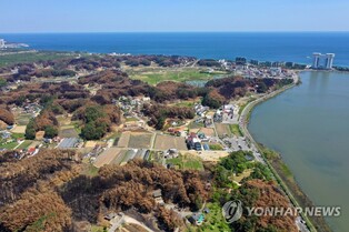 "강릉으로 오세요…5∼6월 볼거리·즐길 거리 가득해요"