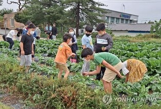 전북도, 가족과 함께 떠나기 좋은 농촌 여행지 8곳 추천