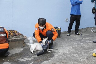 부산 수영구 아파트에서 불…반려견·묘 14마리 숨져