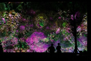 "밤이 더 화려해진다" 동해 무릉별유천지 내년부터 야간 개장