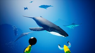 KF, XR 갤러리 15일 개관…첫 전시 '창백한 푸른 점'