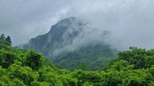 [K-Traveler] Baekyang Temple, Im Kwon-taek, and Nostalgia