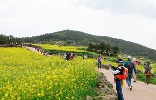 완도 청산도 슬로걷기 축제 8만명 다녀가