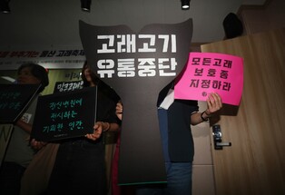 환경단체들 "고래 보호 메시지 없는 울산고래축제…반생태적"