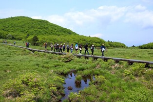 '국내 람사르 1호 습지' 인제 대암산 용늪 생태탐방 16일 재개