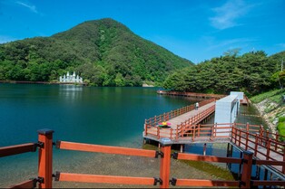 "숲길 걸으며 힐링하세요"…제천 '의림지 한방 치유숲길' 완성