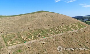 제주들불축제 존폐, 숙의형 원탁회의 방식으로 결정
