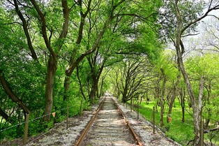 철원 DMZ 생태평화공원 용양보 탐방로 25일부터 개방