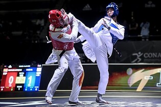 세계태권도선수권대회 개막 D-6…'개인자격' 러·난민 등도 출전