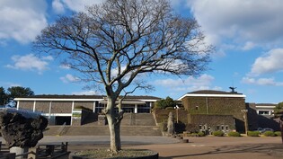 '탐라국 시대부터 근현대까지'…제주역사관 추진 관심