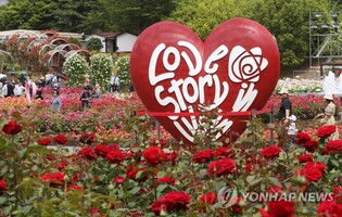 [픽! 울산] 각양각색 장미 뒤덮인 울산대공원 장미축제