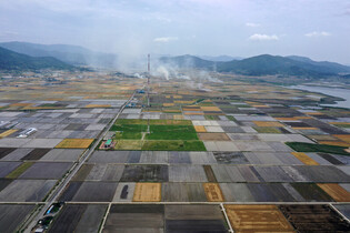 [Moment to Focus] Burning barley fields