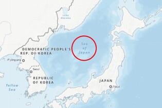 유엔 지도 '일본해' 단독 표기에 서경덕 "동해 병기" 촉구