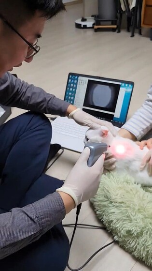 한국광기술원, 반려동물용 검이경 개발…"진단·치료 동시"