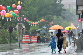 [Moment to Focus] Rain in Seoul