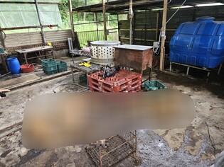 경기도, 파주 개 도살 현장 추가 적발…동물보호법 위반 수사