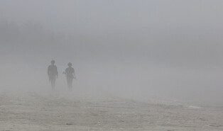 [Moment to Focus] Foggy beach
