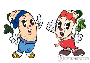 횡성 청일면에서 주말마다 미니 더덕축제 열린다