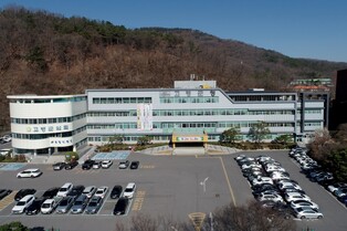 '지역 대표 음식 발굴'…경북 고령서 전국 요리경연대회