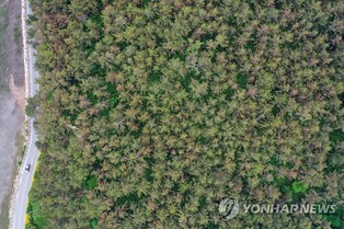 현충일 징검다리 연휴 마지막 날 전국 산·바다 '북적'