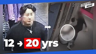Appellate court raises 'spin kick' assailant's prison term to 20 yrs