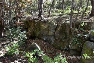 1년 중 닷새만…거문오름 '신비의 숲' 용암길 열린다
