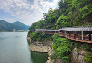[K-Traveler] March of bokjagi trees: Trip to Danyang