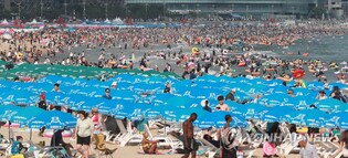 전국 축제장 바가지 논란에 휴가철 앞둔 부산 해수욕장도 '긴장'