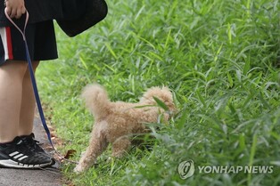 창원시, 취약계층에 반려동물 진료비 지원…연간 최대 18만원