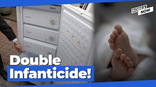 Mother of 3 kills 2 newborns, keeps remains in fridge