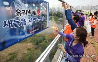 "야생조류 유리창 충돌 막자" 서울시, 건축설계 자료집 제작
