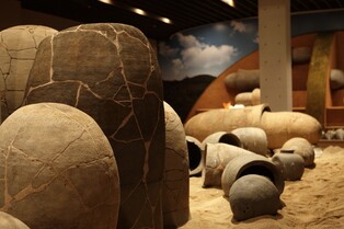 망자와의 추억 담긴 '타임캡슐'…영산강 유역 독널을 만나다