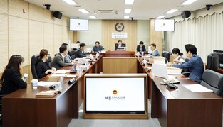 세종시 태권도시범단 운영·4대 관문 조성 무산…예산 전액 삭감