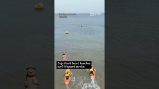 Surf Lifeguards created in Jeju￼