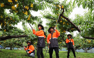 [Moment to Focus] Rainy season begins
