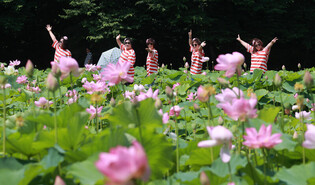 [K-Geography] Lotus flowers