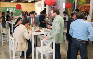 멕시코 대학서 '한국의 맛' 가르친다…한식 정규과목 추진