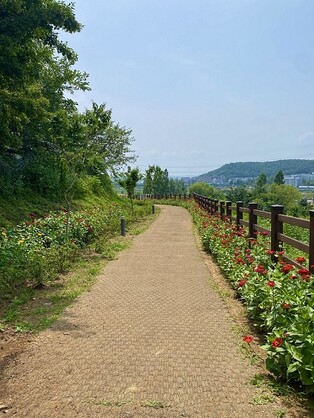 시민들의 특별 쉼터로 변신한 대전차 구조물들