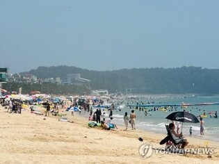 '반갑다 바다야' 보령 대천해수욕장 개장 첫날 15만 인파(종합)