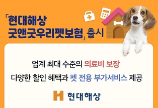 현대해상, 보호자와 반려견 보장하는 펫보험 출시