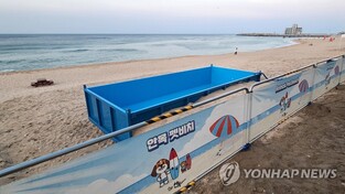 강릉 반려견 동반 테마 해수욕장 운영 '눈길'(종합)