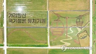 논에 그린 대형 그림…계절 따라 이색 풍경 연출