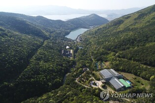 싱그러운 녹음 가득 전남서 숲캉스 즐겨요