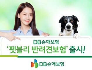 DB손보, 펫보험 출시…의료비 최고 연간 2천만원까지 보장