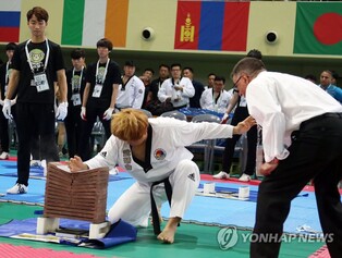 성남서 21~24일 '세계태권도 한마당'…20일 전야제